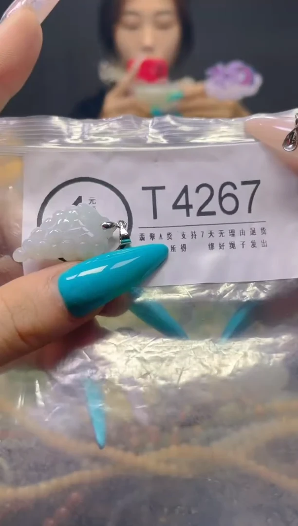 翡翠未镶嵌颈饰/T/翡翠A货一件也是批发价