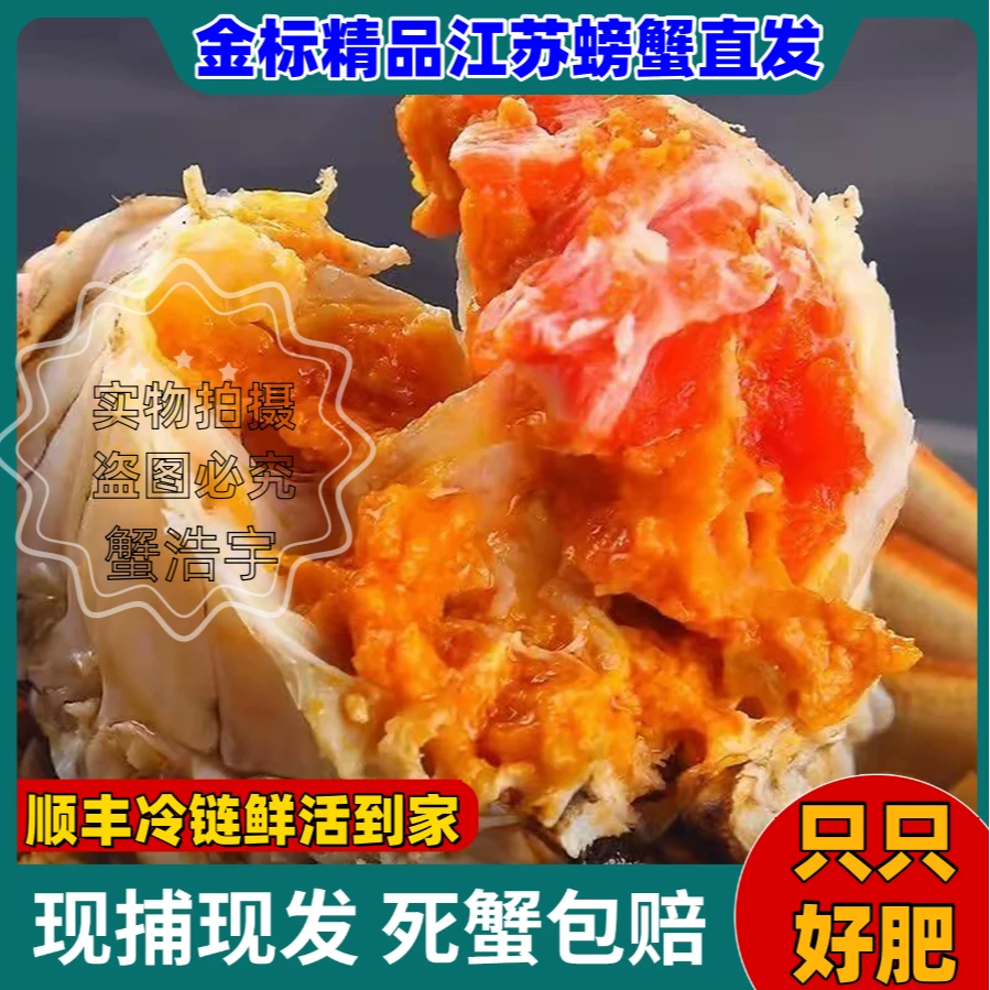 【8送2到手10只装】精选活蟹 全母蟹1.6-1.4两 顺丰京东包邮 洪泽湖螃蟹 蟹农直发河蟹鲜活现捞现发精品