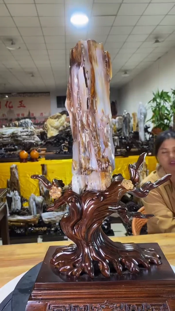 硅化玉珠宝奇石未镶嵌胡*煌1