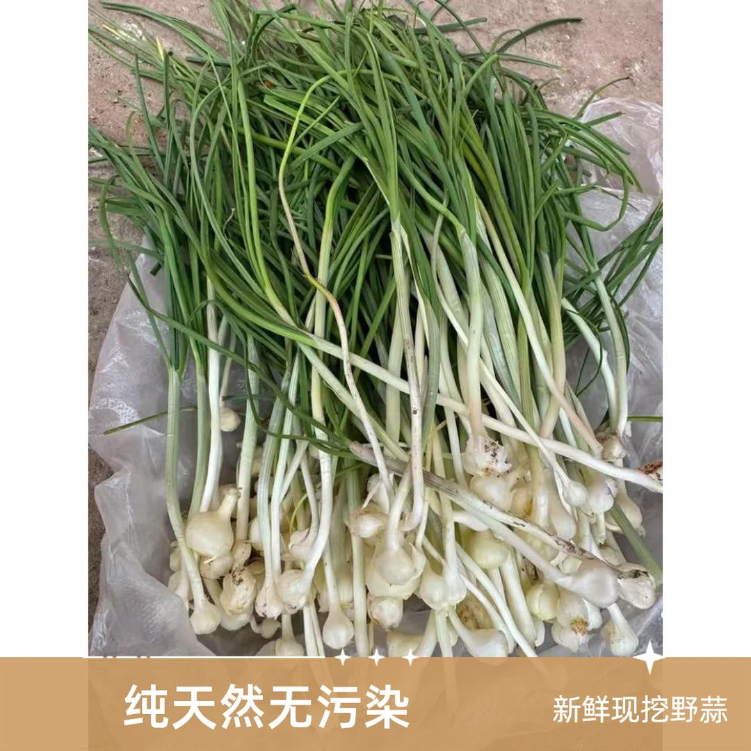 正宗湖南湘西高山野生小葱，野外生长纯天然无污染，葱香味十足