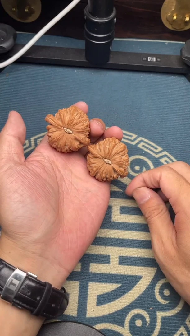 文玩核桃吊坠白狮子42