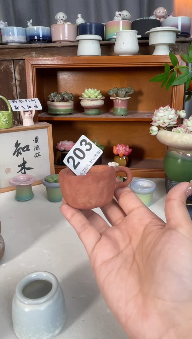 瓷片晚***星203知木小芳花盆