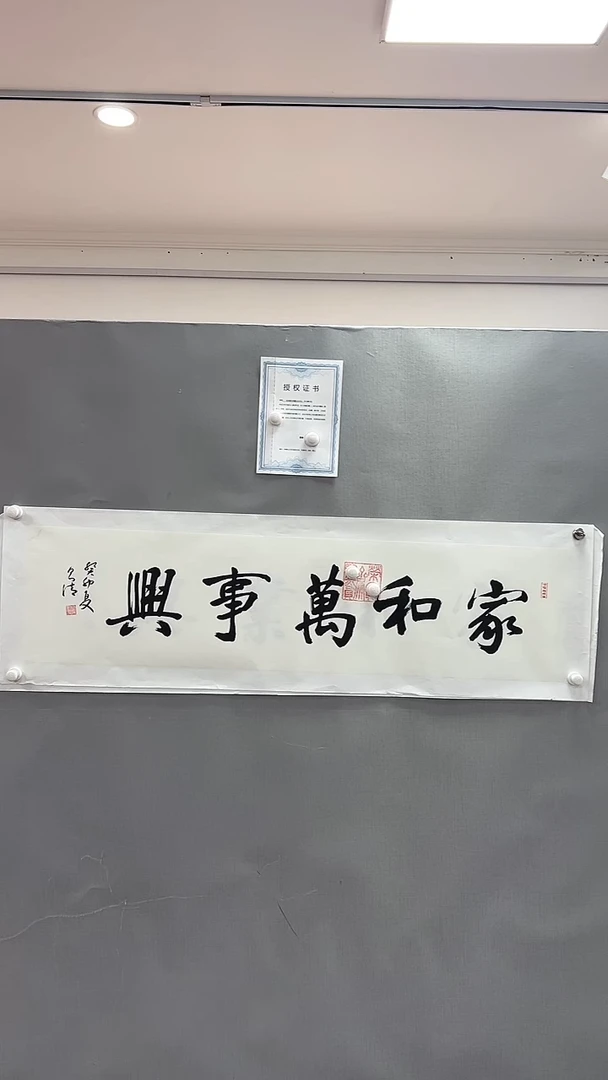 【闪购商品】书法雅艺典藏文化书法