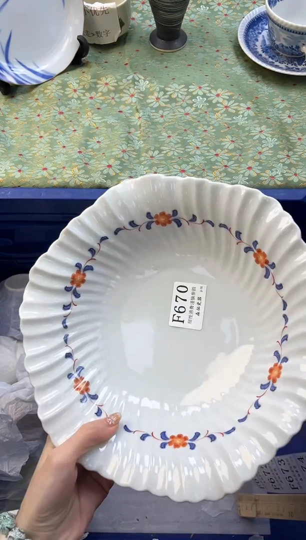 【闪购商品】瓷片          F670