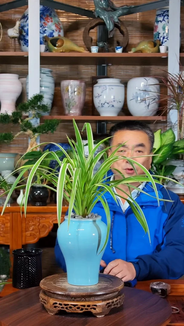 无花朵天****谓水之韵水培吊兰