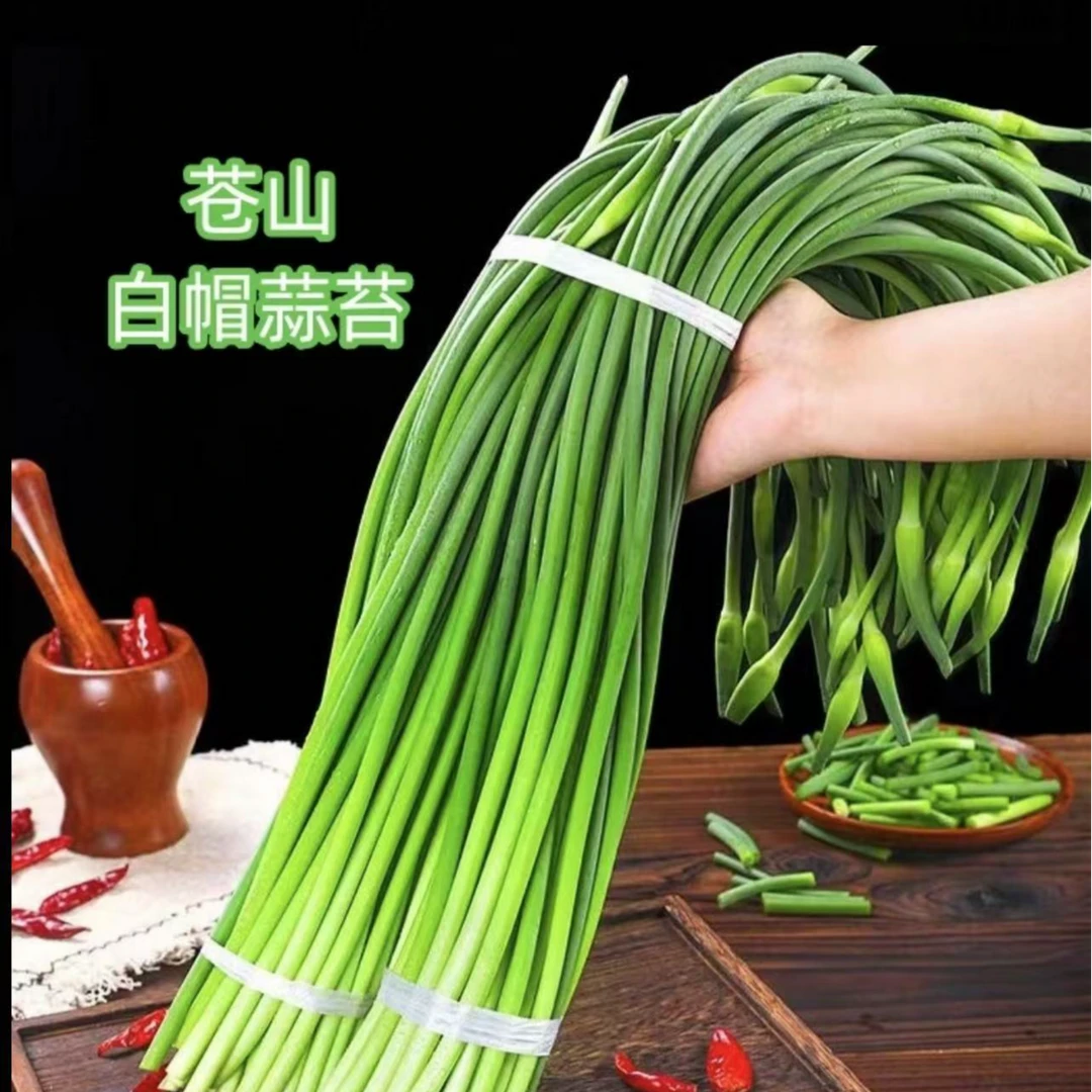 正宗苍山大田蒜苔白帽蒜薹脆嫩多汁现货
