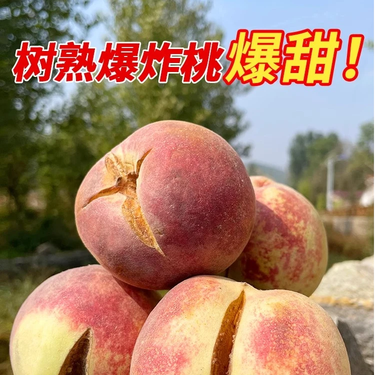 山东爆炸桃水果映霜红冬桃轻微裂口糖炸果现摘现发包邮桃子山东省