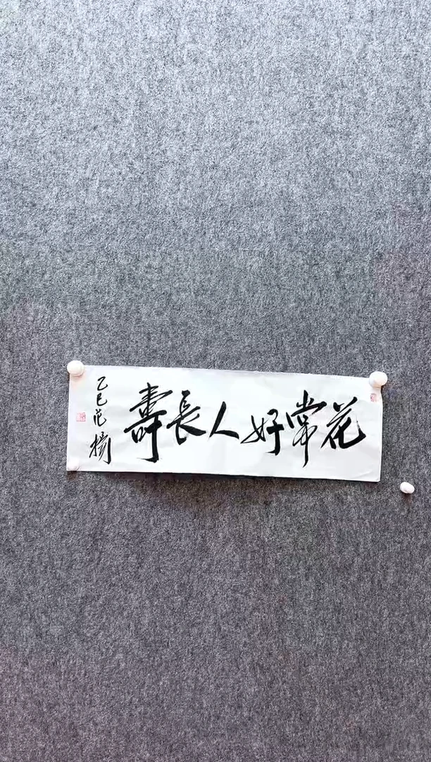 书法复星书画精选作品