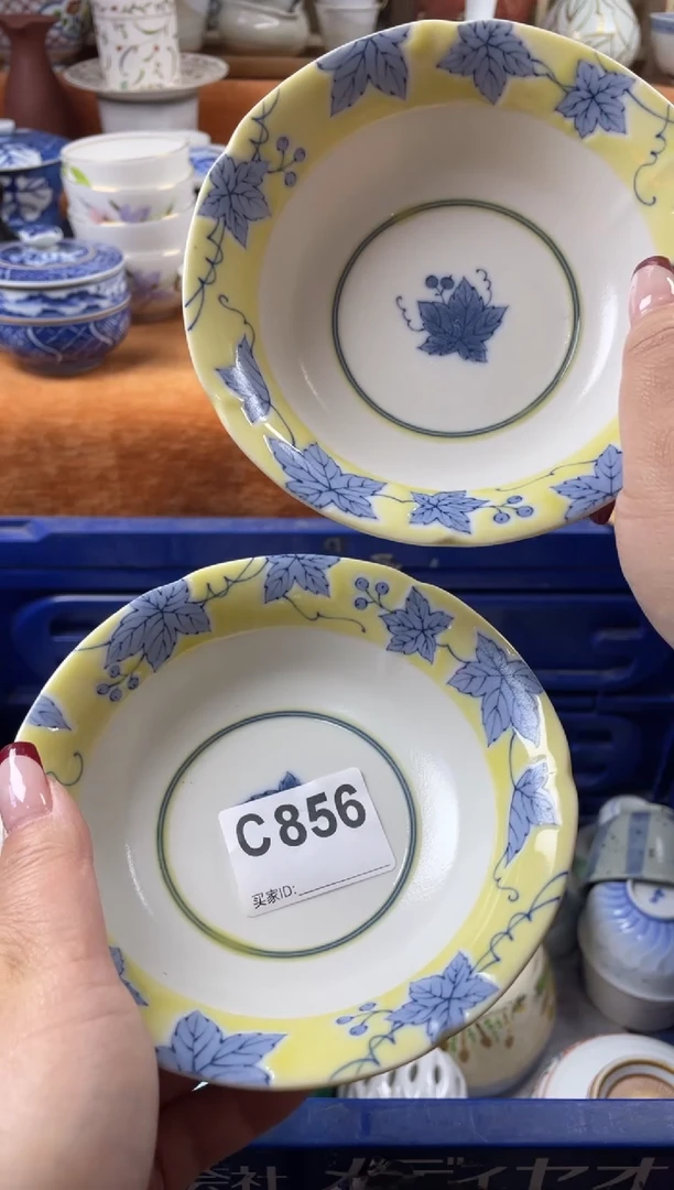 【闪购商品】C856