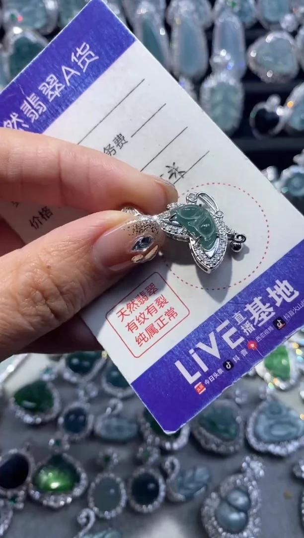 【闪购商品】翡翠颈饰未镶嵌翡翠