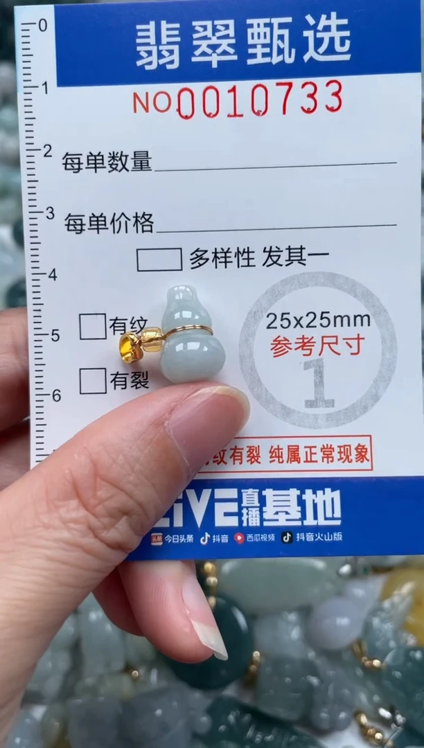 颈饰未镶嵌翡翠10733