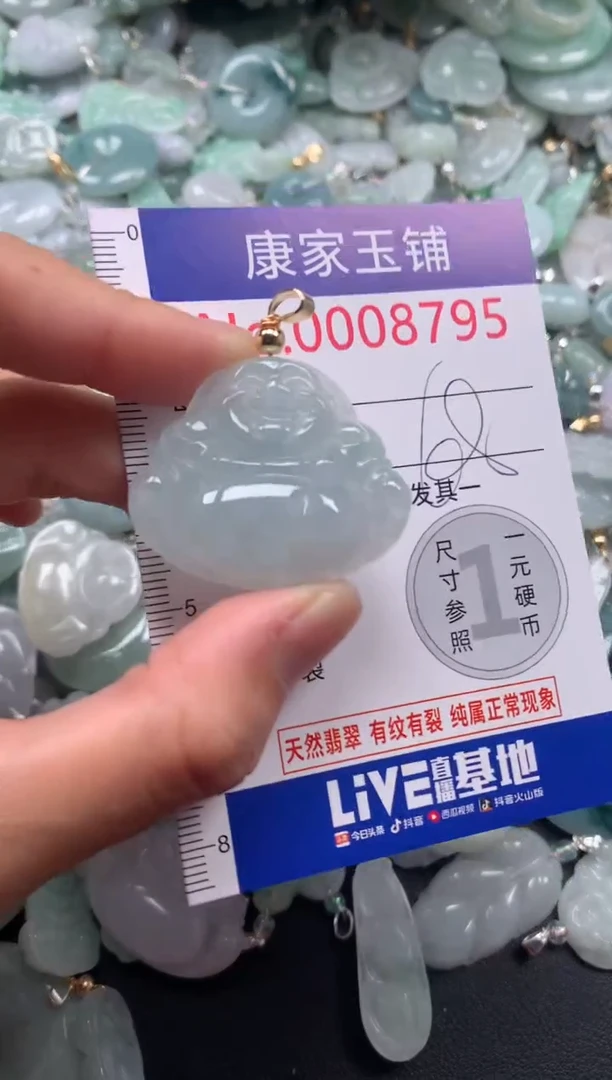 颈饰未镶嵌翡翠8795