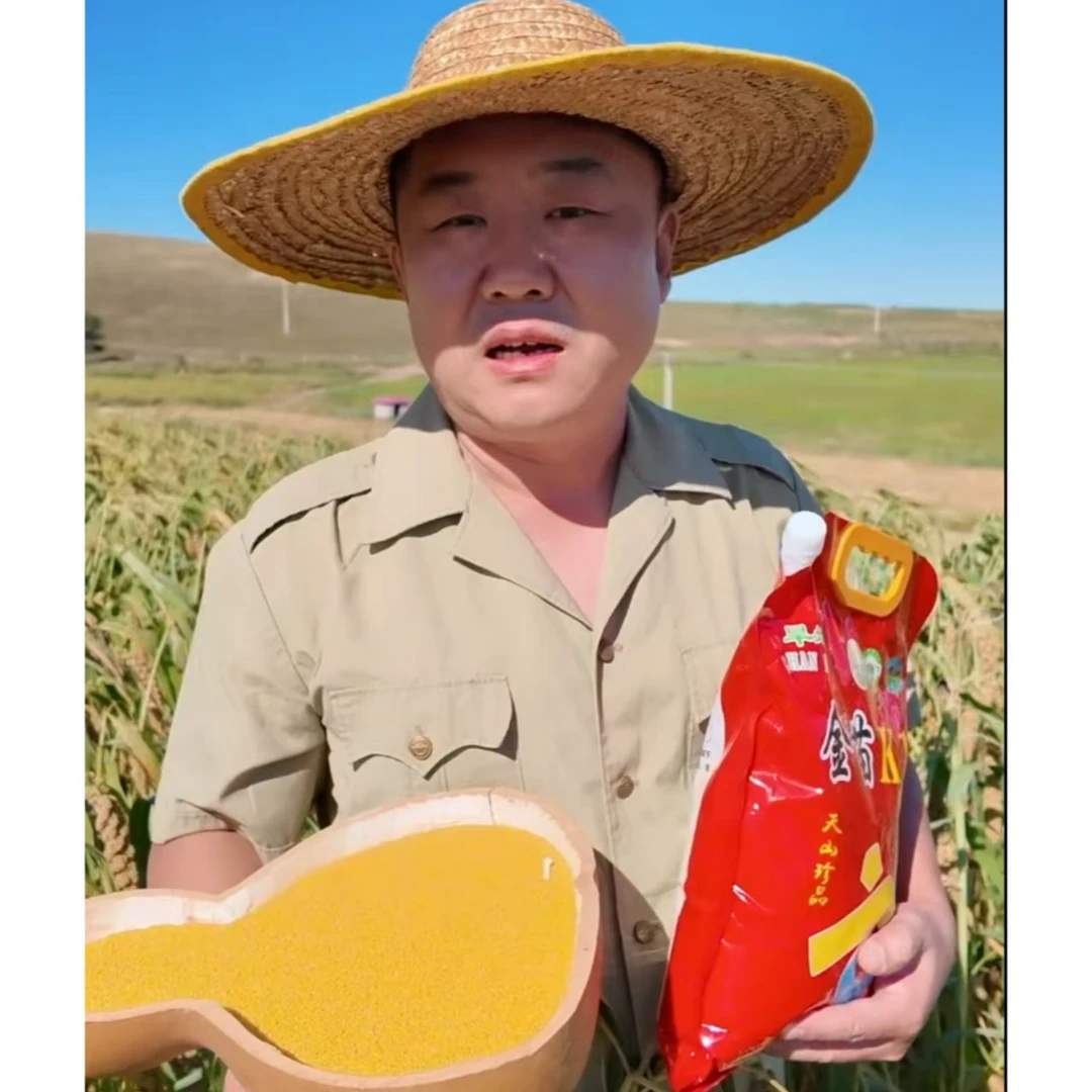 1保证2025年新米赤峰金苗K1小米5斤装  打开包装可以试吃