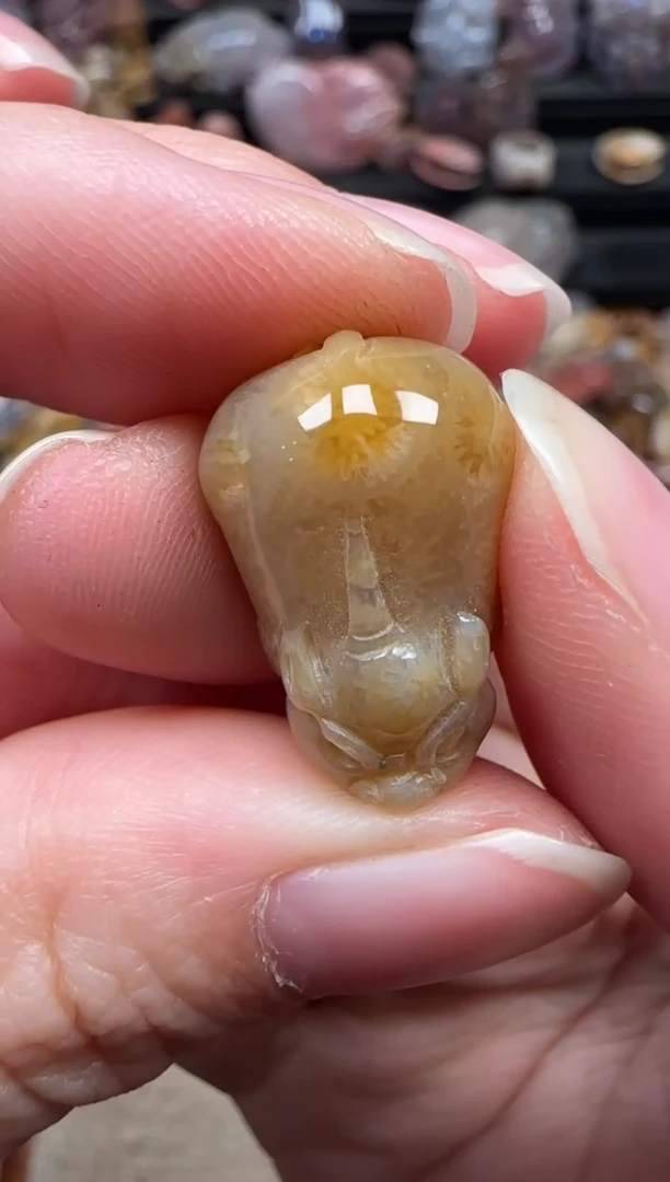 颈饰未镶嵌硅化珊瑚（珊瑚玉）324