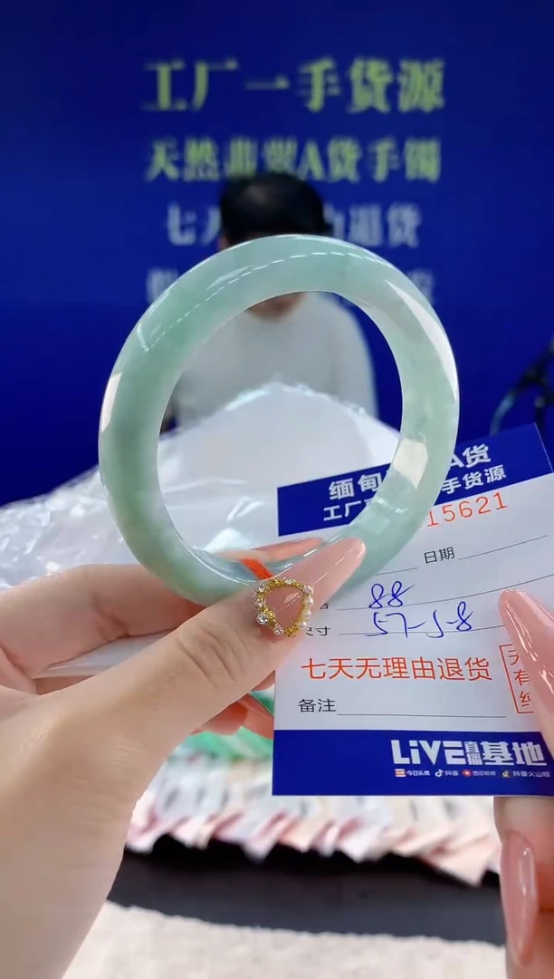 未镶嵌手镯翡翠21