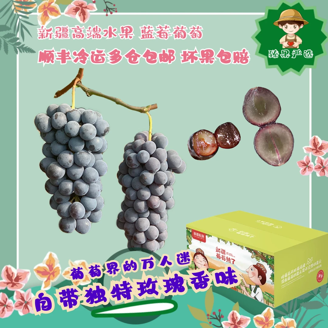 【顺丰冷运】疆小提蓝莓葡萄夏黑葡萄肉软多汁皮薄爽甜自带玫瑰香