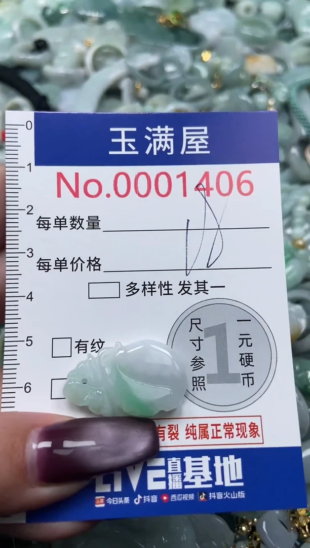 颈饰未镶嵌翡翠1406