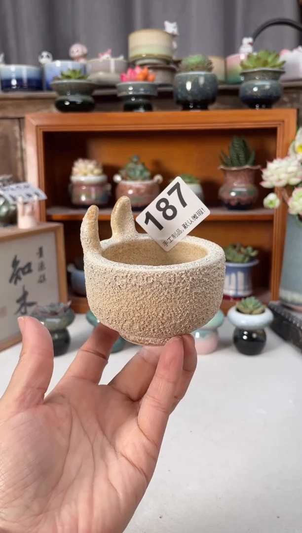 瓷片187知木小芳花盆