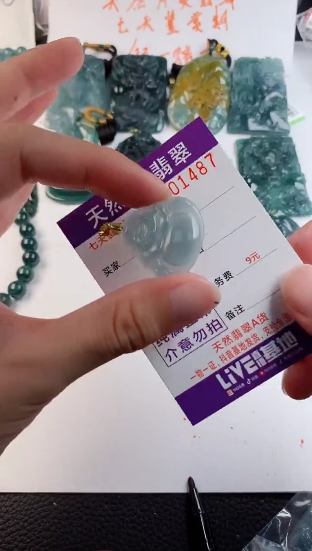 颈饰未镶嵌翡翠