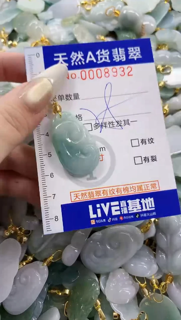 颈饰未镶嵌翡翠天然A货翡翠