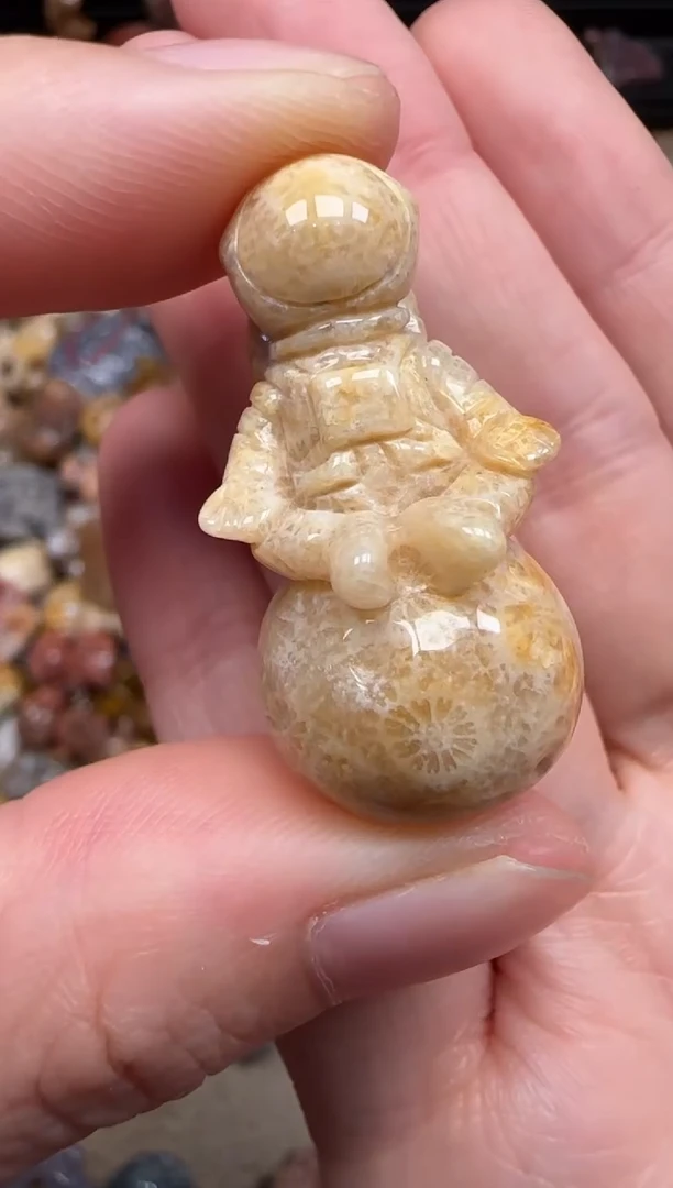 硅化珊瑚（珊瑚玉）未镶嵌颈饰529