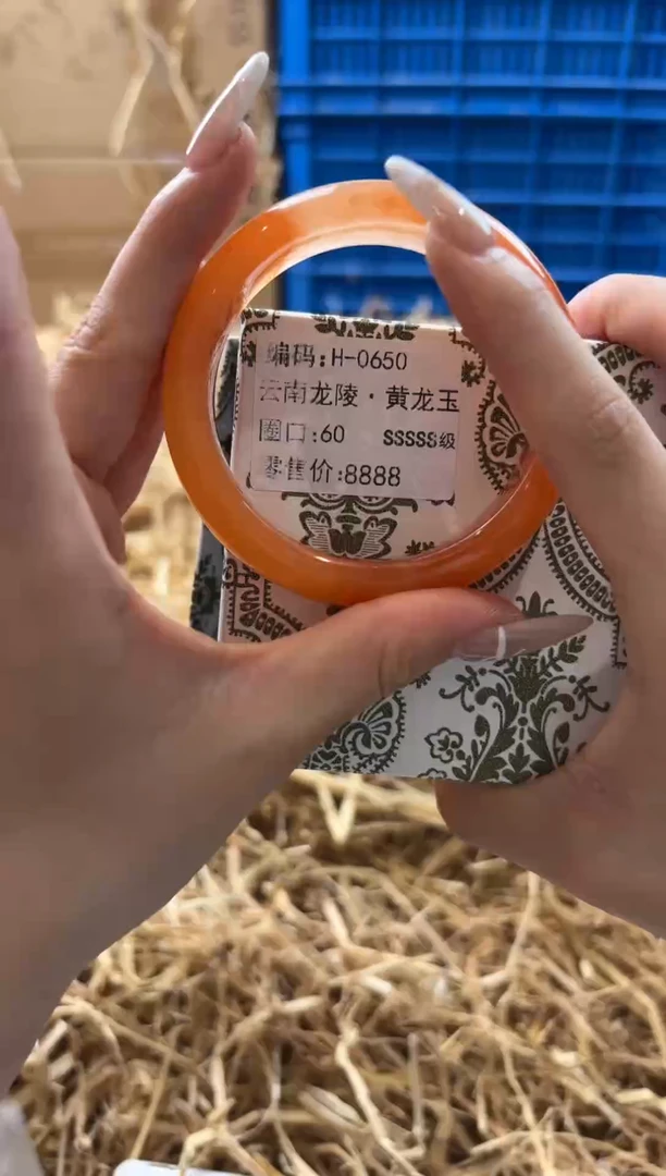 未镶嵌手镯石英质玉H-0650