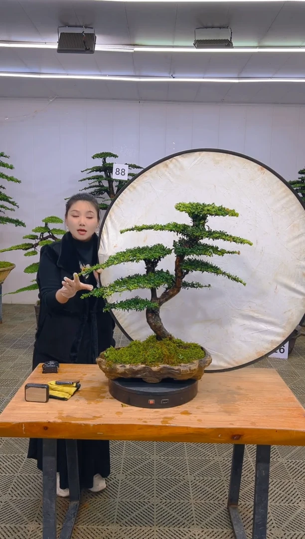 无花朵一物一拍一物一拍