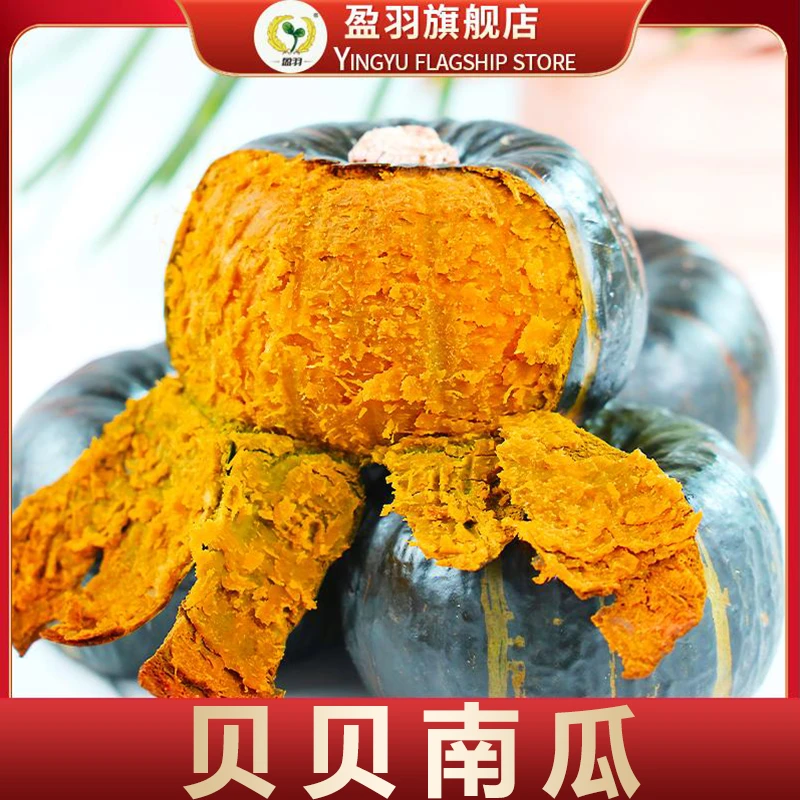 【盈羽】正宗贝贝南瓜板栗口感香甜粉糯小南瓜5斤装