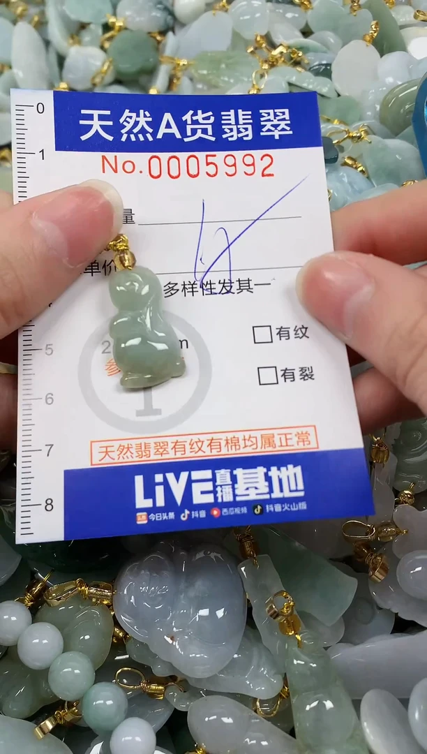 颈饰未镶嵌翡翠纯天然a货翡翠