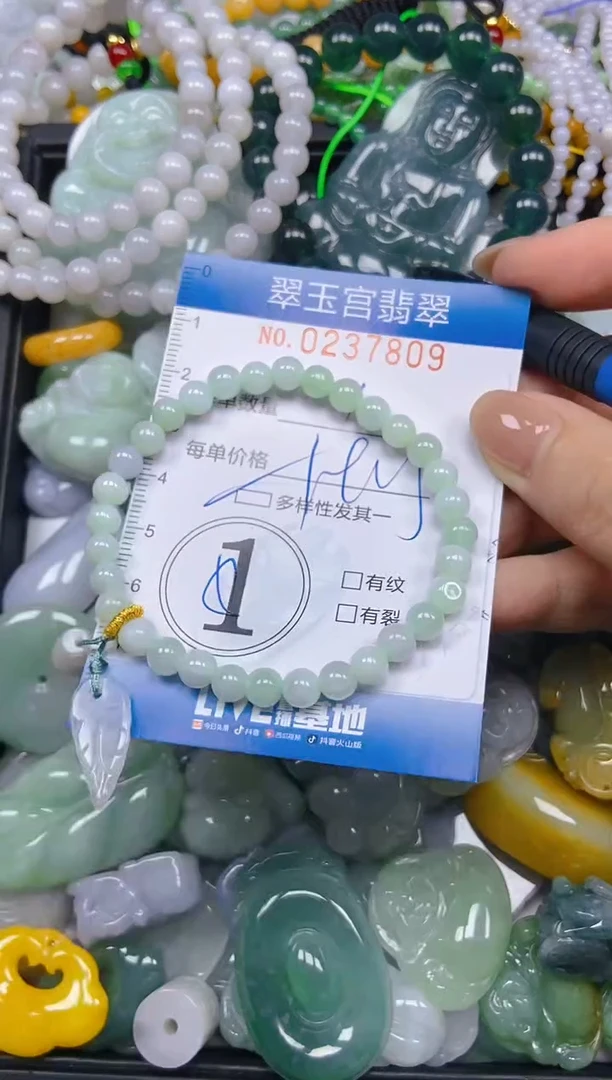 颈饰未镶嵌翡翠闪购C0237809多样性发其一