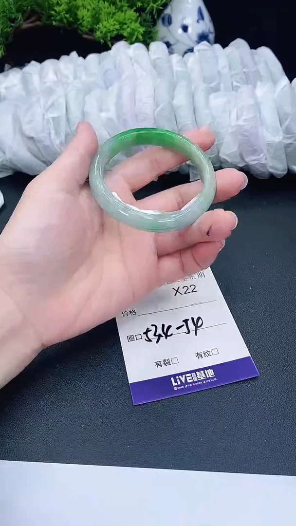 未镶嵌手镯翡翠22