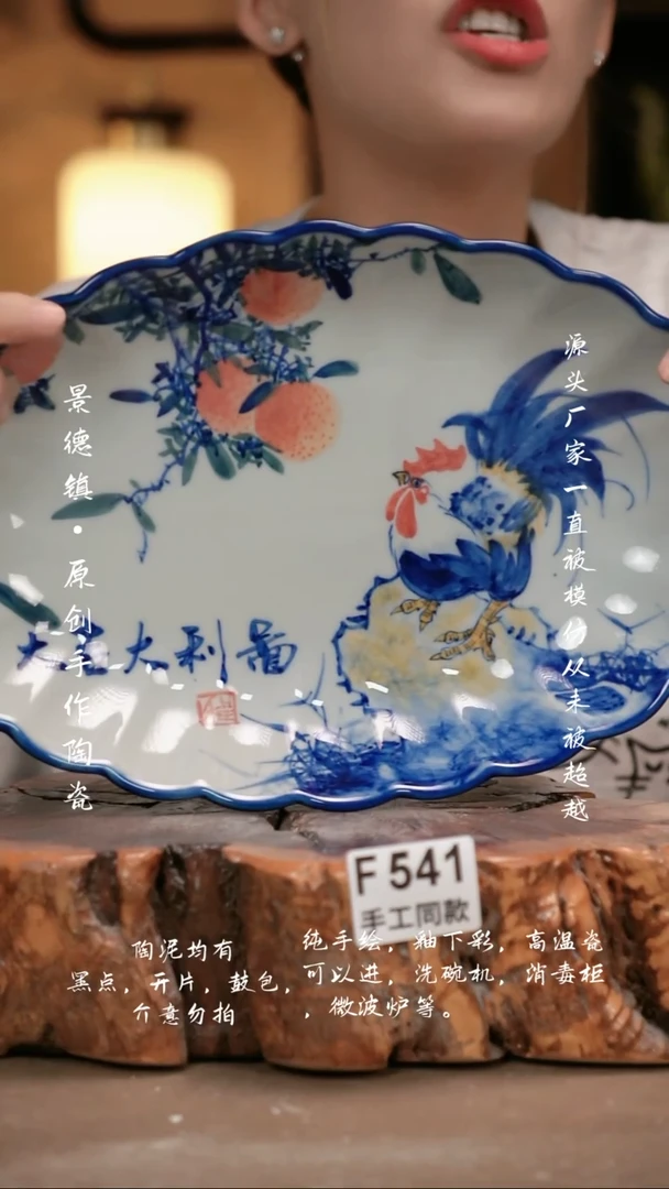 其他F541新十二器