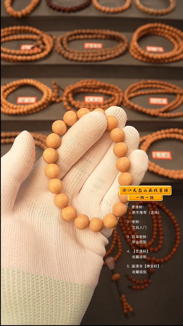 吊坠五线菩提手串