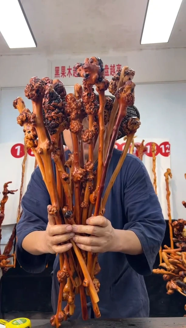 黑果木其他黑果木666