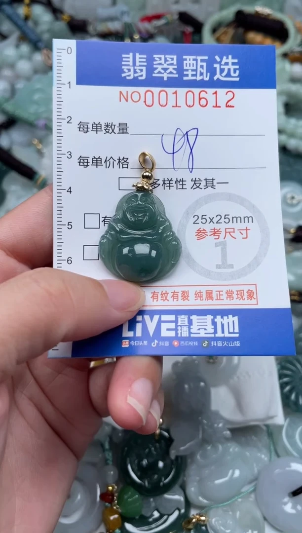 颈饰未镶嵌翡翠10612