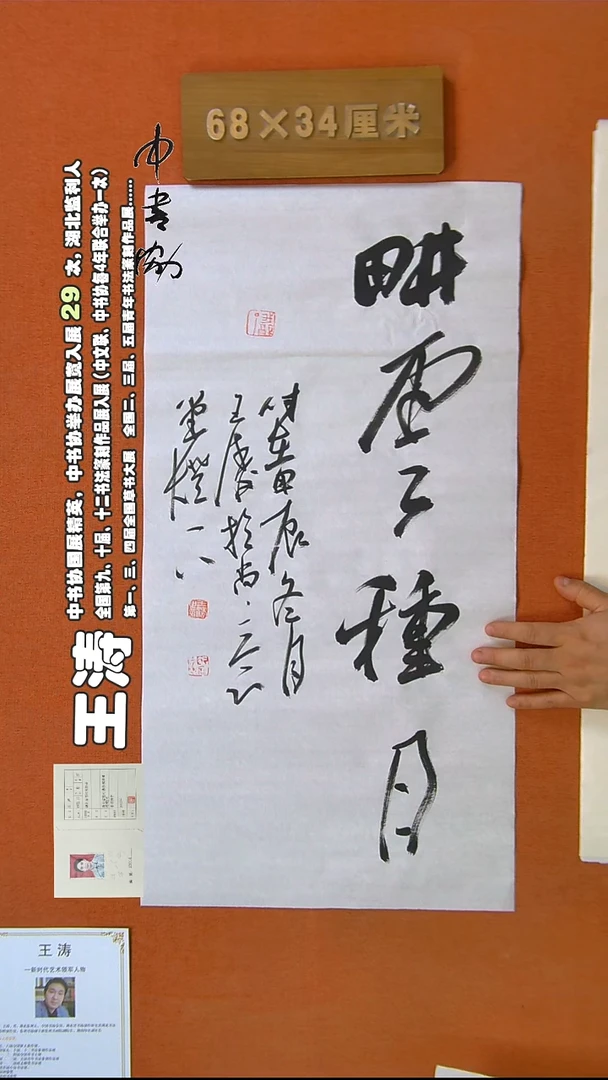 【闪购商品】书法306王涛书法作品