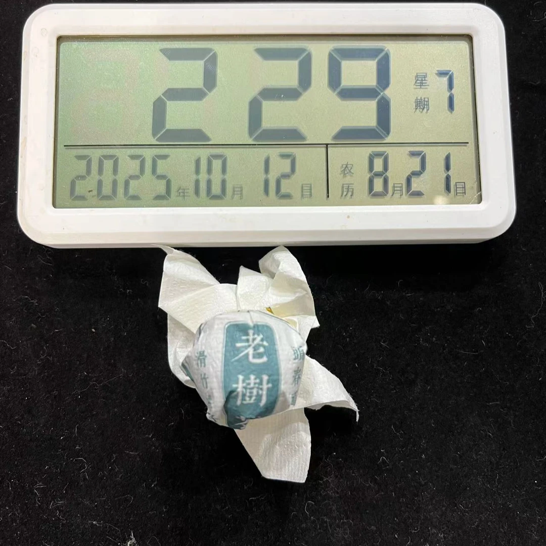 刀刃严选-1358号2021年滑竹梁子老树生茶手工龙珠10-11