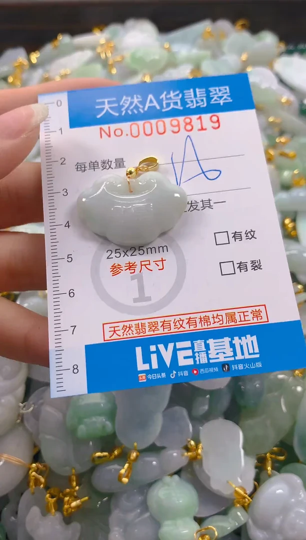 颈饰未镶嵌翡翠净货挂件-9819