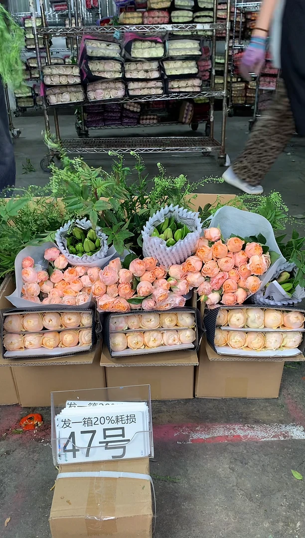 47号♥中通含20%耗损发一箱