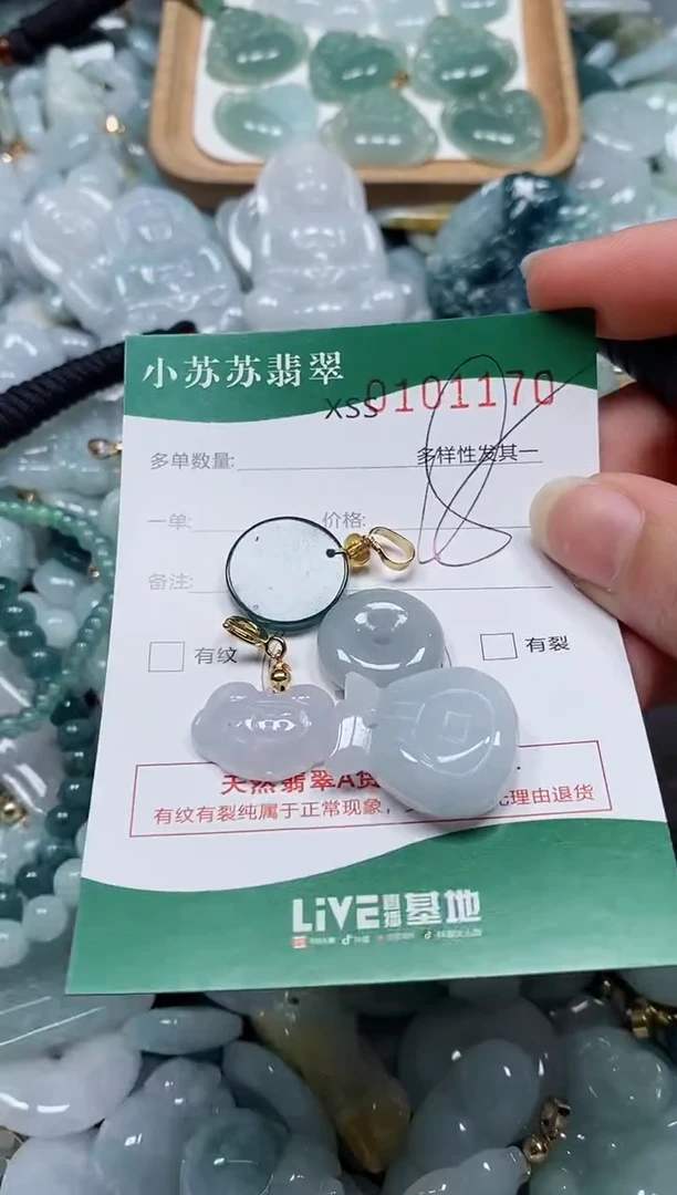 【闪购商品】翡翠颈饰未镶嵌闪购商品0101170