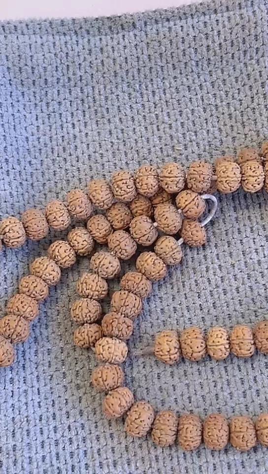 【闪购商品】金刚菩提手串320灰皮六瓣老树王+钢丝刷