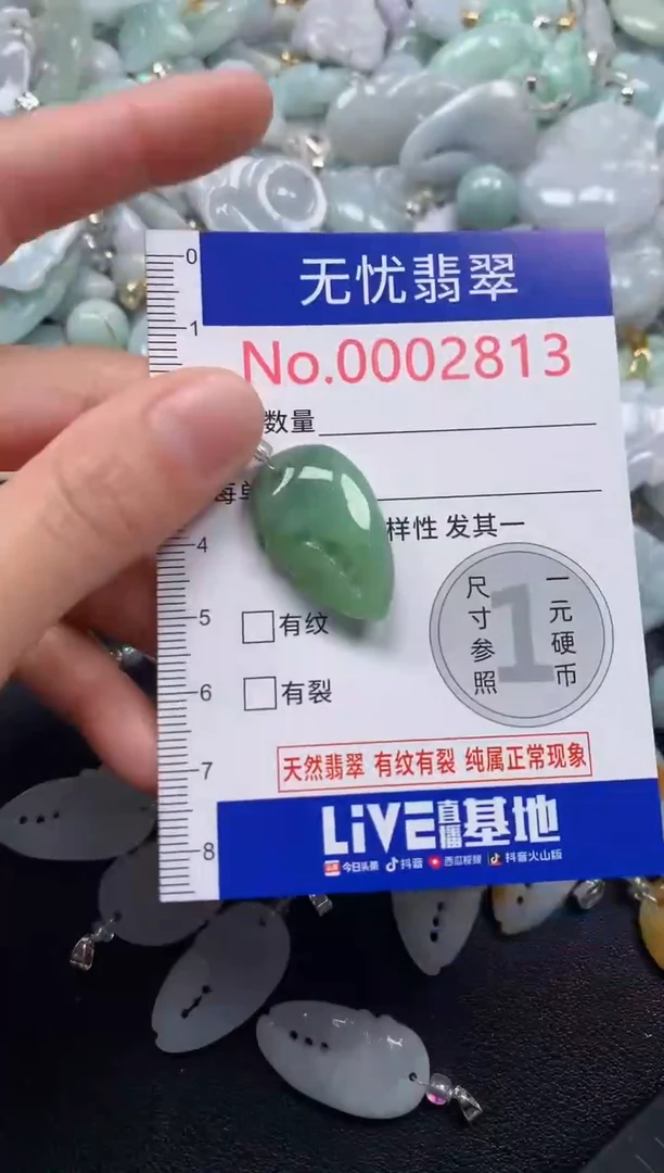 颈饰未镶嵌翡翠2813