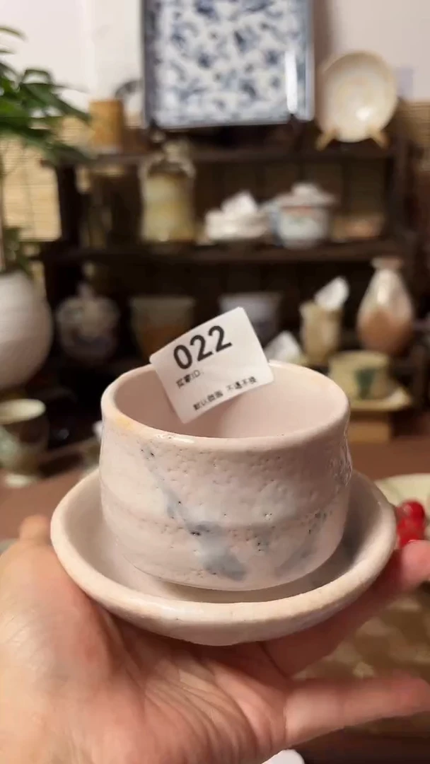 【闪购商品】瓷片喵喵家都是大漂亮