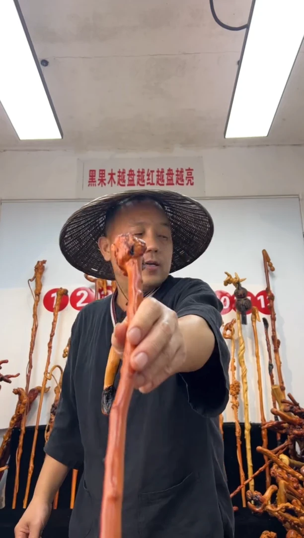 黑果木其他黑果木377