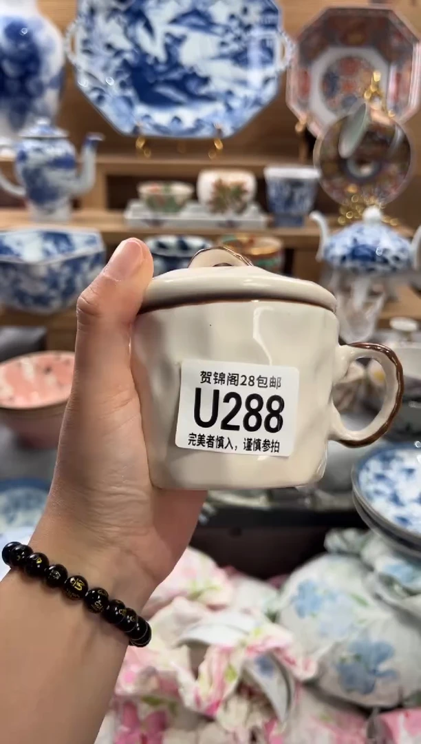 瓷片2****5     U288