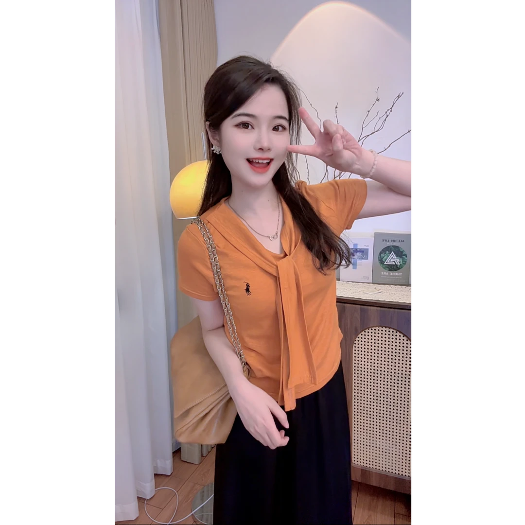 2025夏季韩系时尚设计感小众V领短袖t恤显瘦新款上衣简约舒适女士
