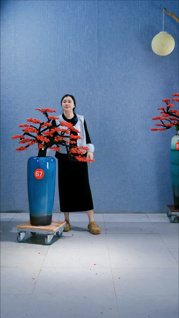 无花朵东67号盆链接