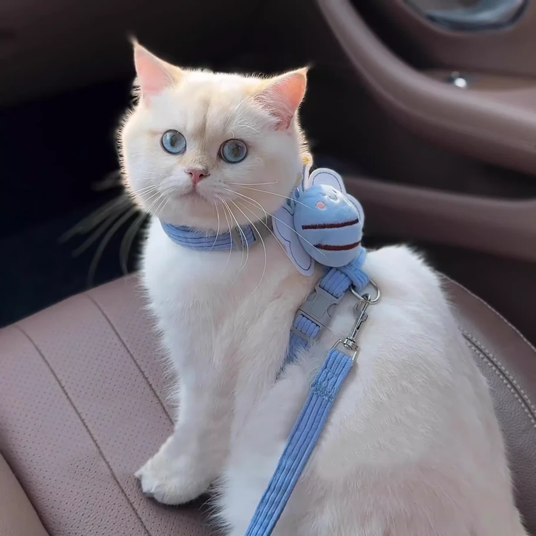 猫咪牵引绳防挣脱小蜜蜂牵引绳外出可调节英短专用工字猫绳胸背带