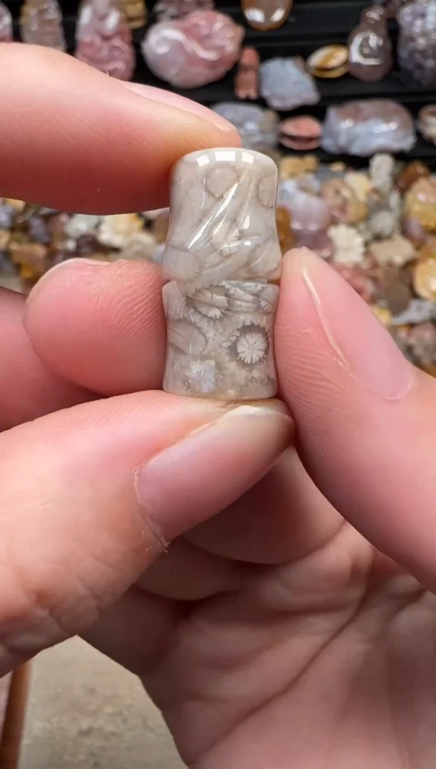 颈饰未镶嵌硅化珊瑚（珊瑚玉）559