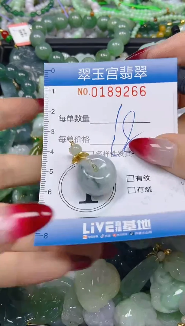 翡翠未镶嵌颈饰闪购0189266